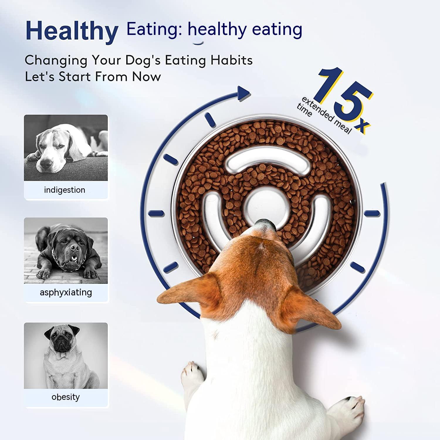 Why Your Pet Deserves the Best: The Stainless Steel Slow Feeding Pet Bowl